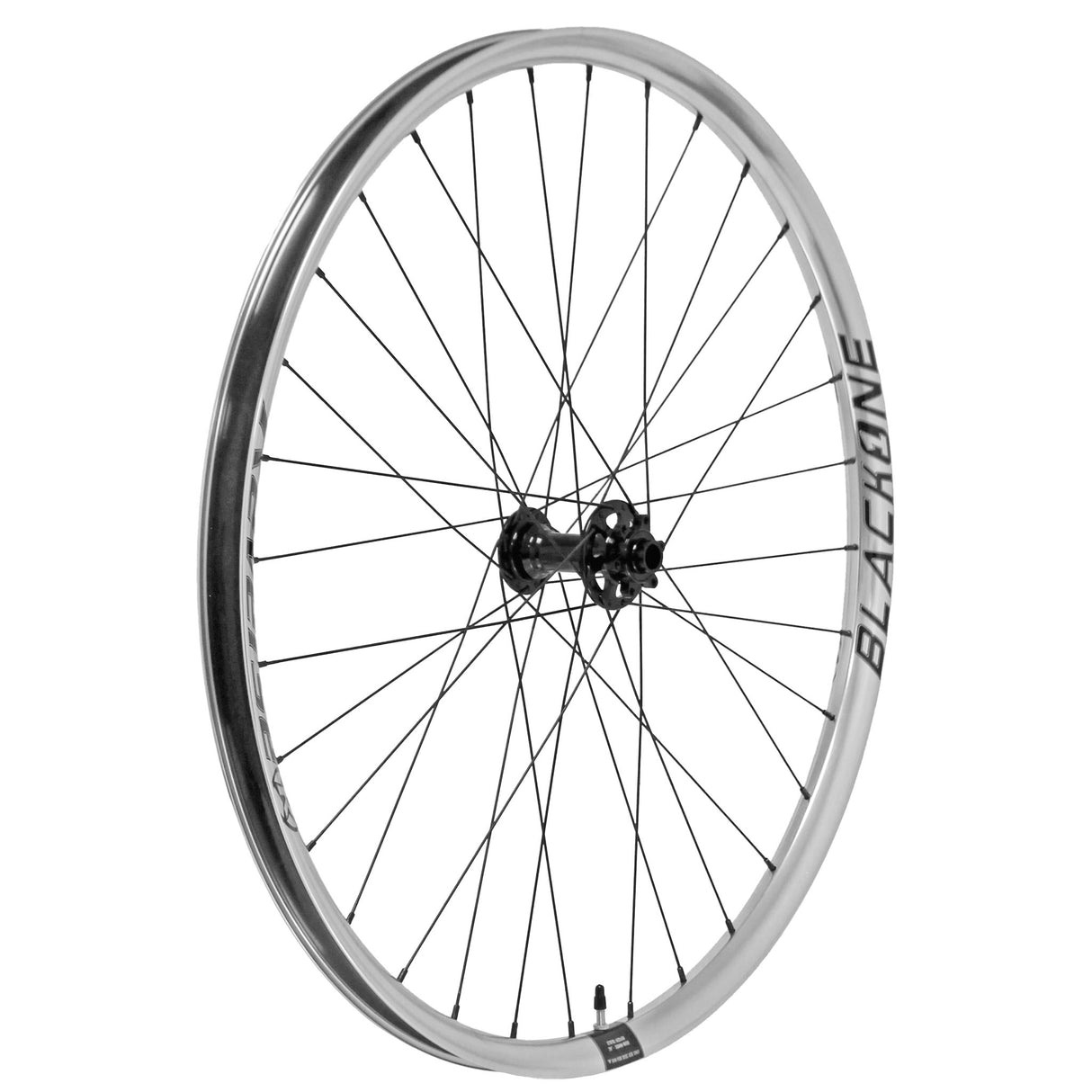 Black One Wheelset (MS), 29/29", 15x110/12x148mm, Silv