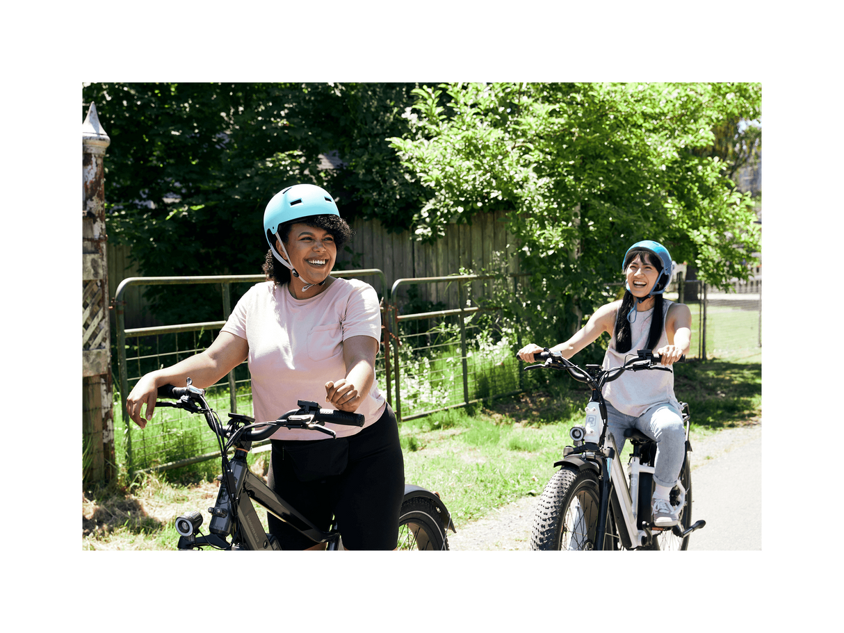 RadRover™ 6 Plus Electric Fat Tire Bike