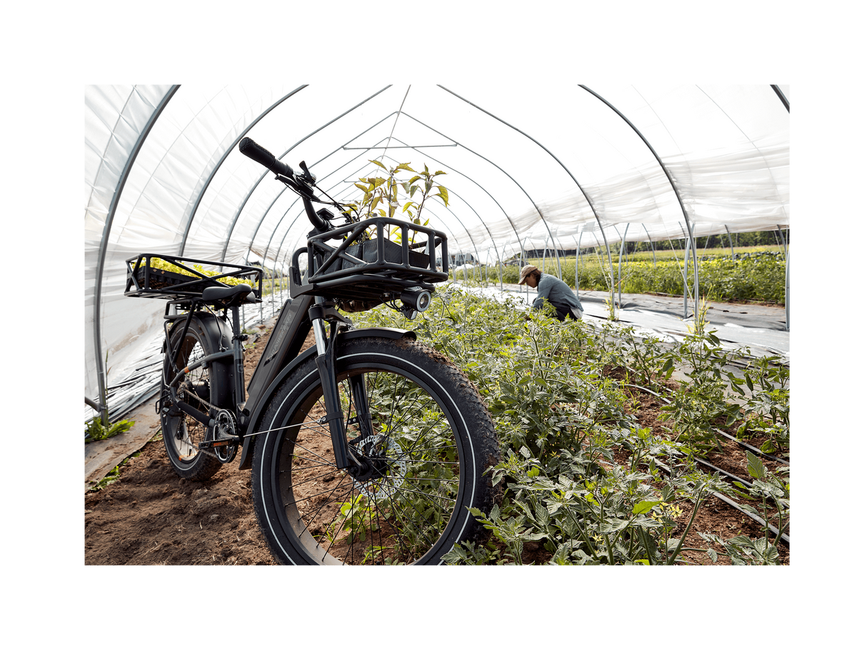 RadRover™ 6 Plus Electric Fat Tire Bike