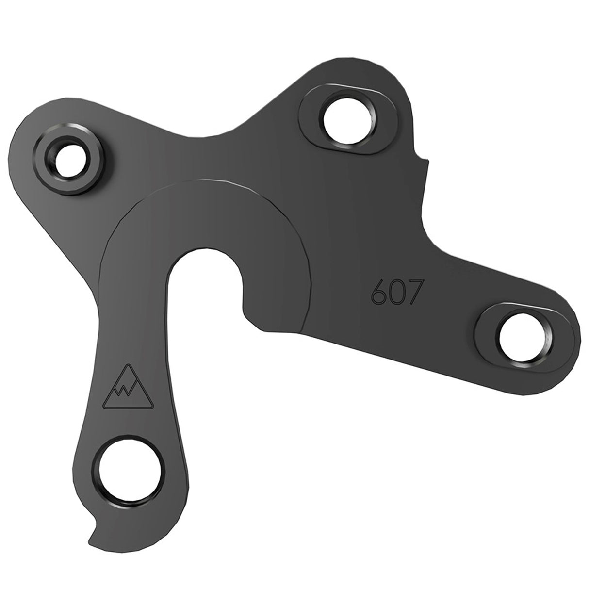 Derailleur Hanger, Dropout #607 NLS