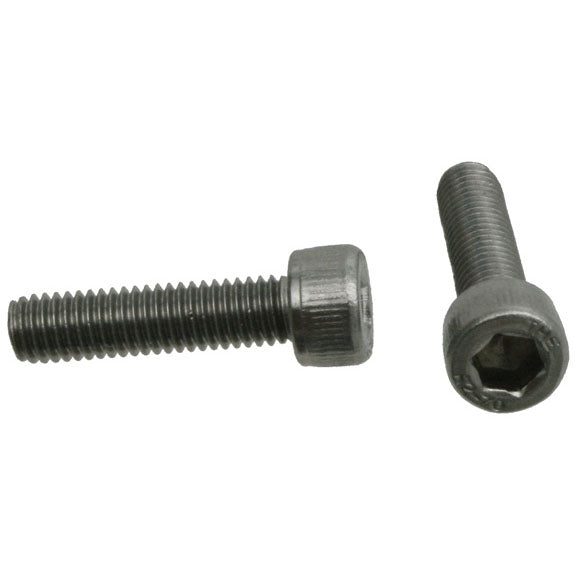 SS Sockethead Bolt, M5x20mm 25/Tub