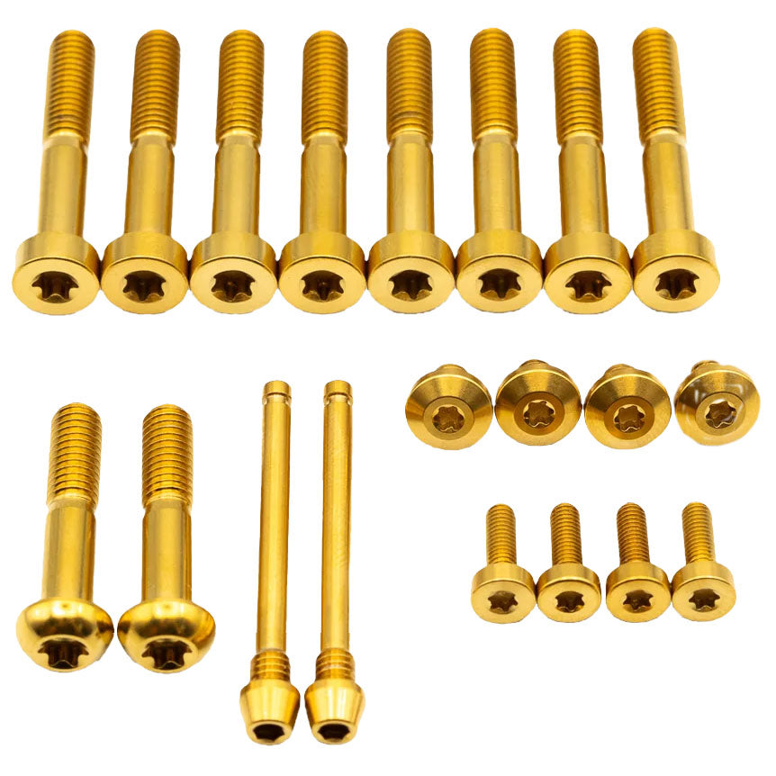 SRAM Maven Ti Brake Bolt Kit, BRZ, Gold, 20/Count