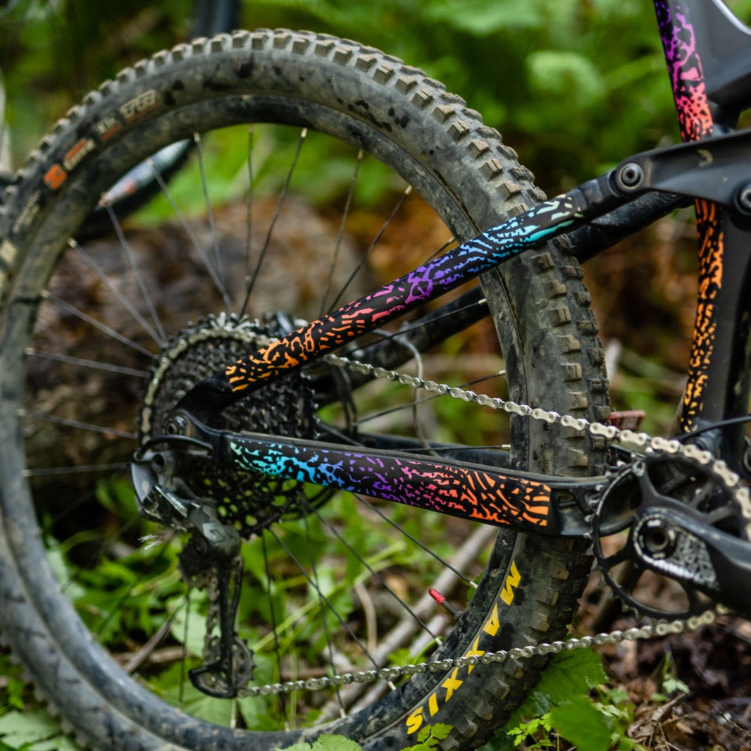 Untamed Frame Keeper