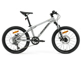 Darwin III 20-Inch Kids Bike