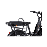 RadRunner Passenger Bars