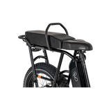 RadRunner Passenger Bars