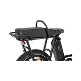 RadRunner Passenger Bars