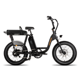 RadRunner Passenger Bars
