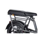 RadRunner 3/RadRunner Max Passenger Package