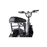 RadRunner 3/RadRunner Max Passenger Package