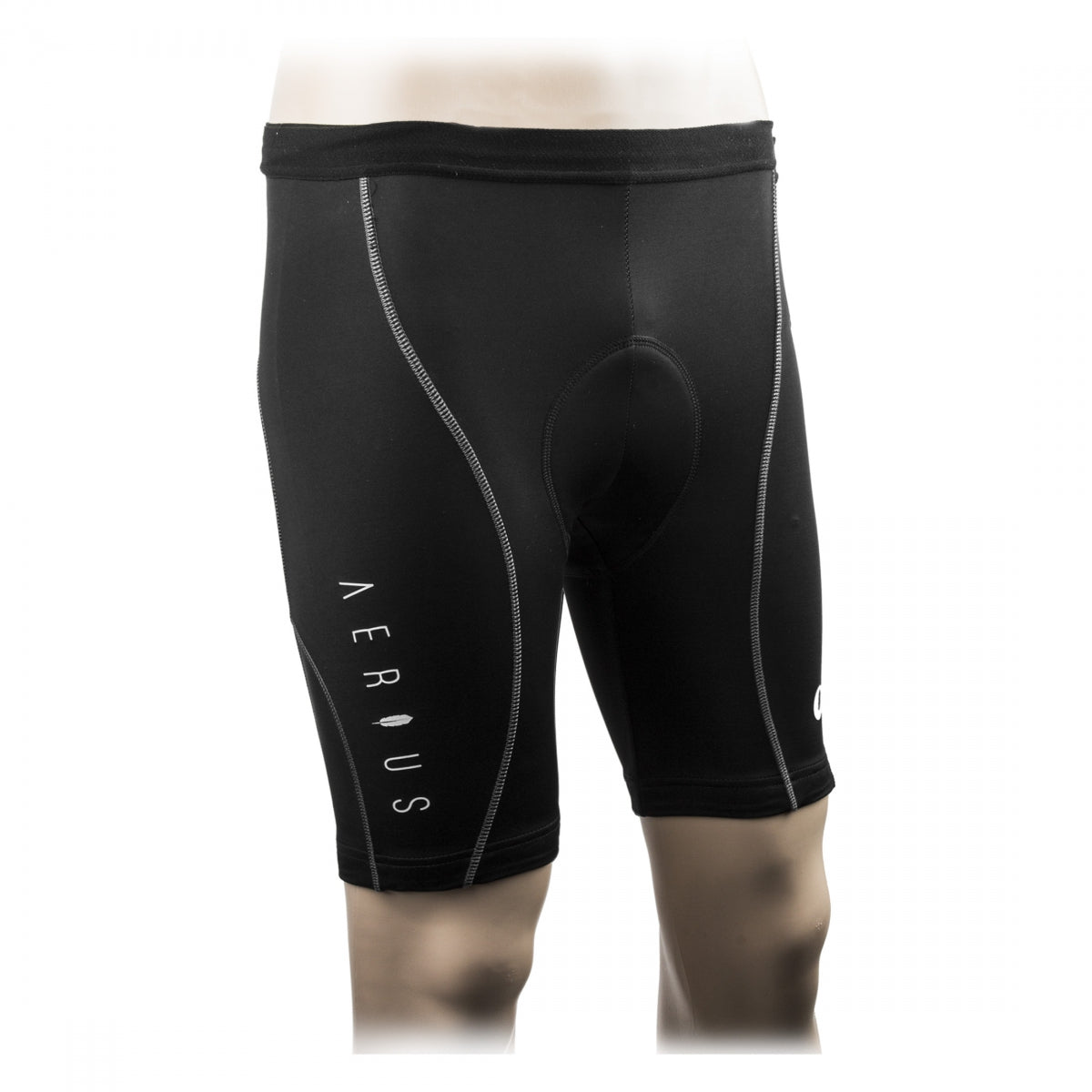 CLOTHING SHORTS AERIUS T/S 10P LRG BK