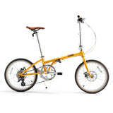 VDS 20-Inch Folding Bike