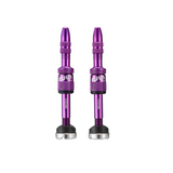 Quick Fill Presta Tubeless Valves