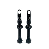 Insert Compatible Tubeless Valves