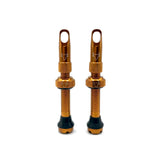 Insert Compatible Tubeless Valves