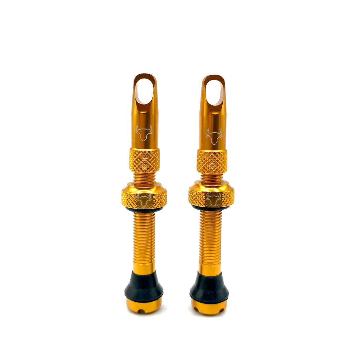 Insert Compatible Tubeless Valves