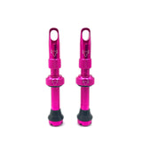 Insert Compatible Tubeless Valves