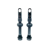 Insert Compatible Tubeless Valves