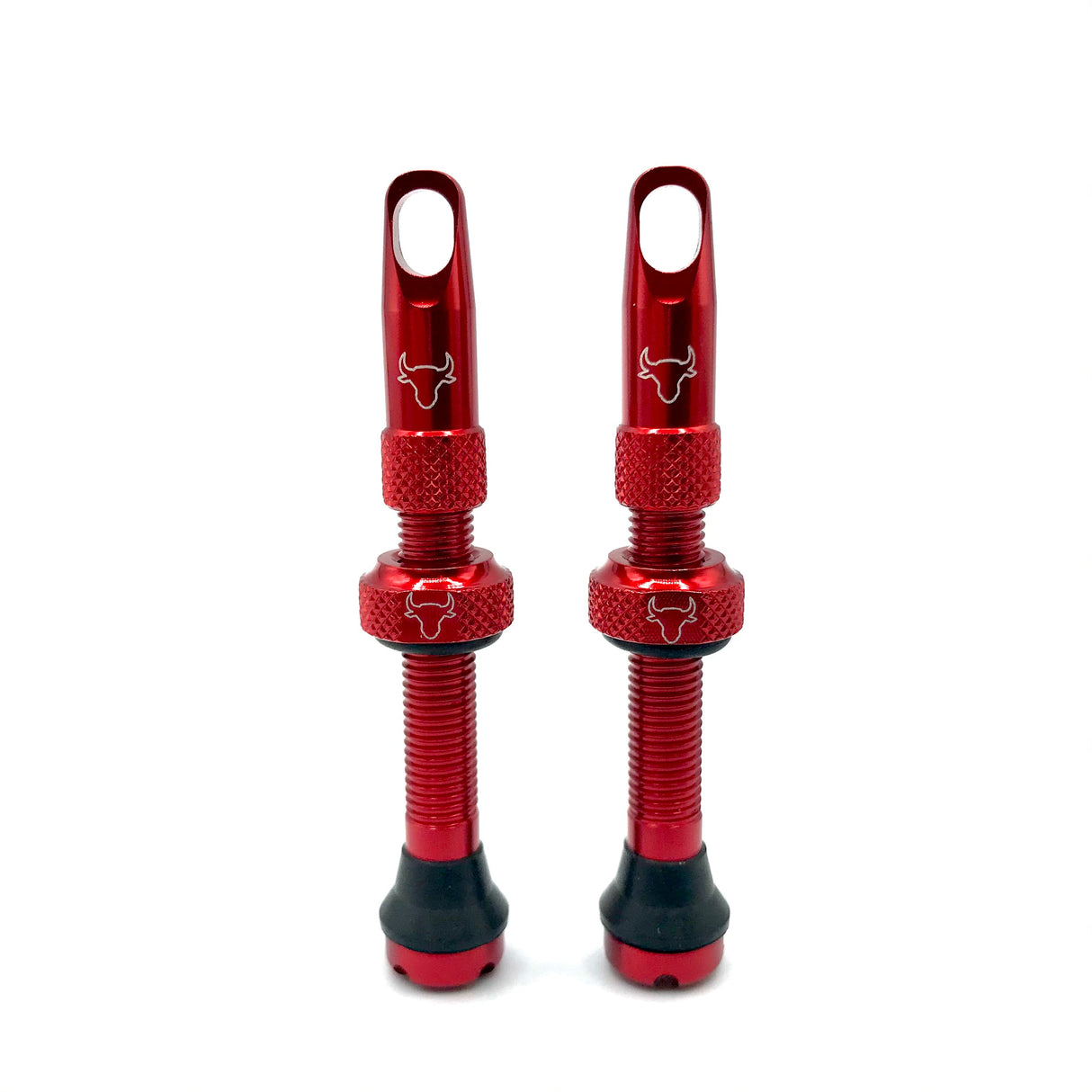 Insert Compatible Tubeless Valves