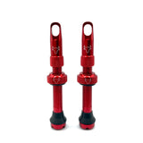 Insert Compatible Tubeless Valves