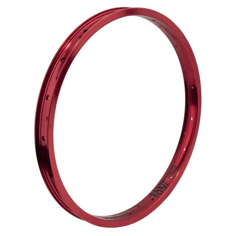 Rant Squad Rim 20in 36H Rim
