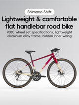 ROCKBROS SPIN-P2M Series Road Bike