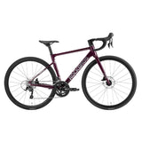 Gale - Aluminum Road Bike