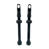 Insert Compatible Tubeless Valves