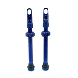 Insert Compatible Tubeless Valves