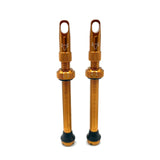 Insert Compatible Tubeless Valves