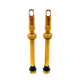 Insert Compatible Tubeless Valves