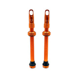 Insert Compatible Tubeless Valves