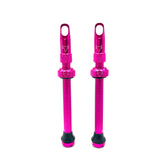Insert Compatible Tubeless Valves