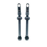 Insert Compatible Tubeless Valves