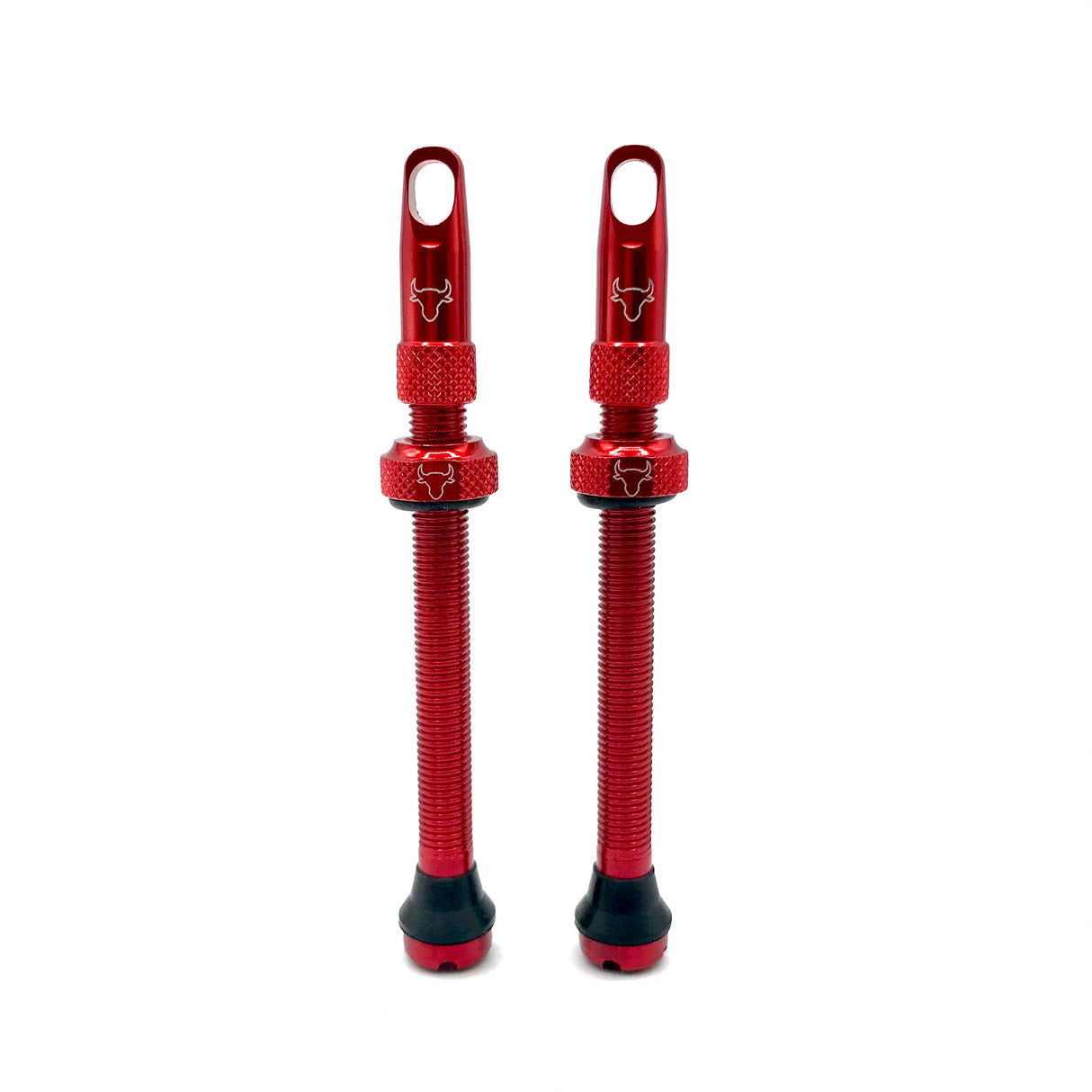 Insert Compatible Tubeless Valves