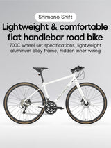 SPIN-P2M Carbon Fiber Fork Aluminum Frame Road Bike