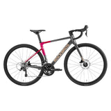 Gale - Aluminum Road Bike