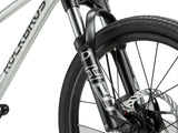 Darwin III 20-Inch Kids Bike