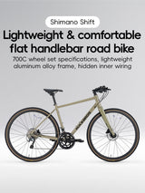SPIN-P2M Carbon Fiber Fork Aluminum Frame Road Bike