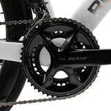 PGZ - Carbon Fiber Road Bike –  Black and White