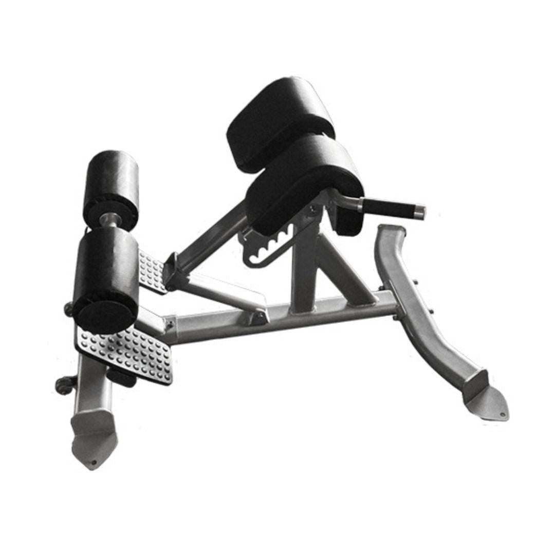 Back Extension Bench - Muscle D Fitness -  Premium Upholstery Lower Back, Roman Chair