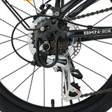 SKN - Folding Bike