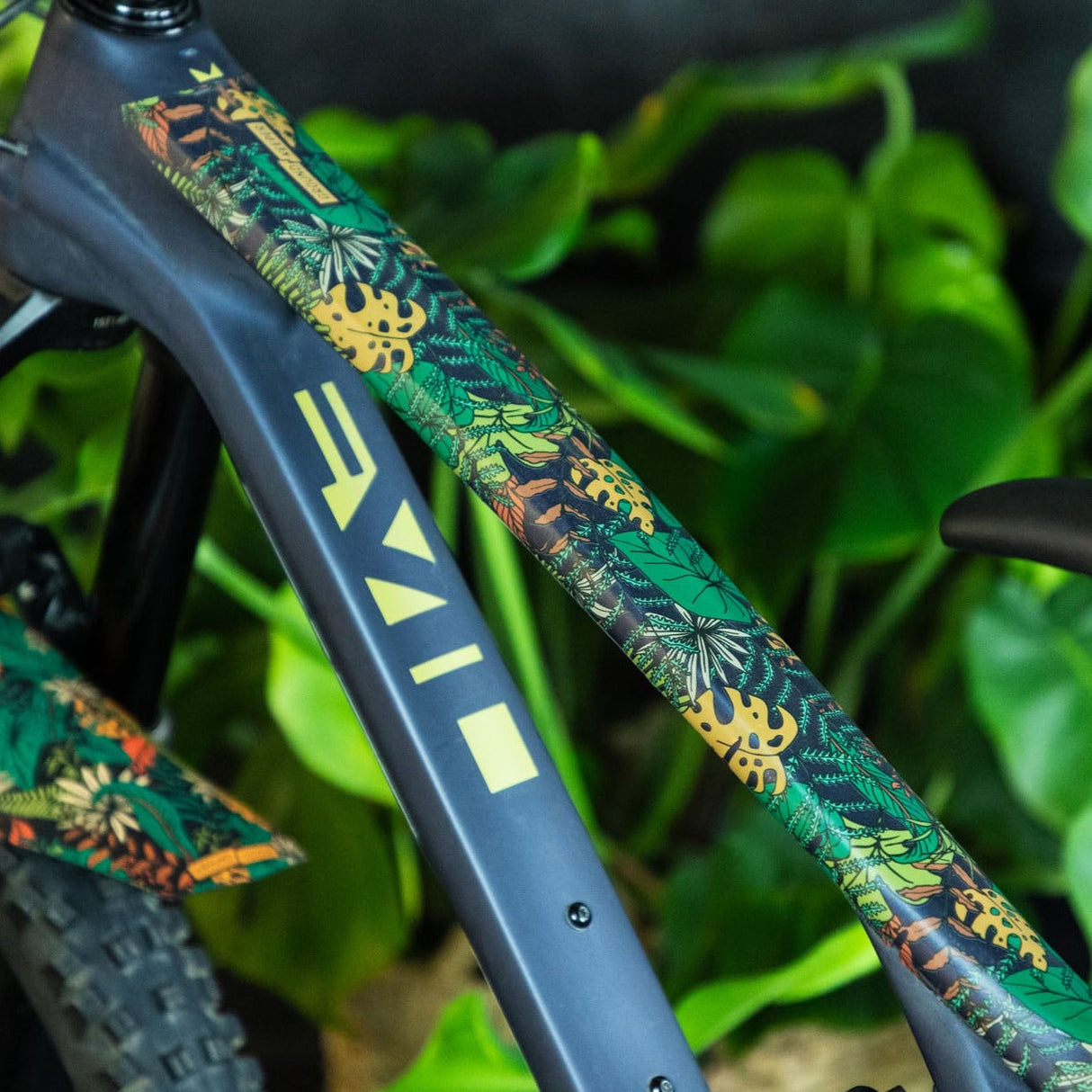 Botanic Revival Frame Keeper