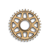 Helix Race e*spec Chainring