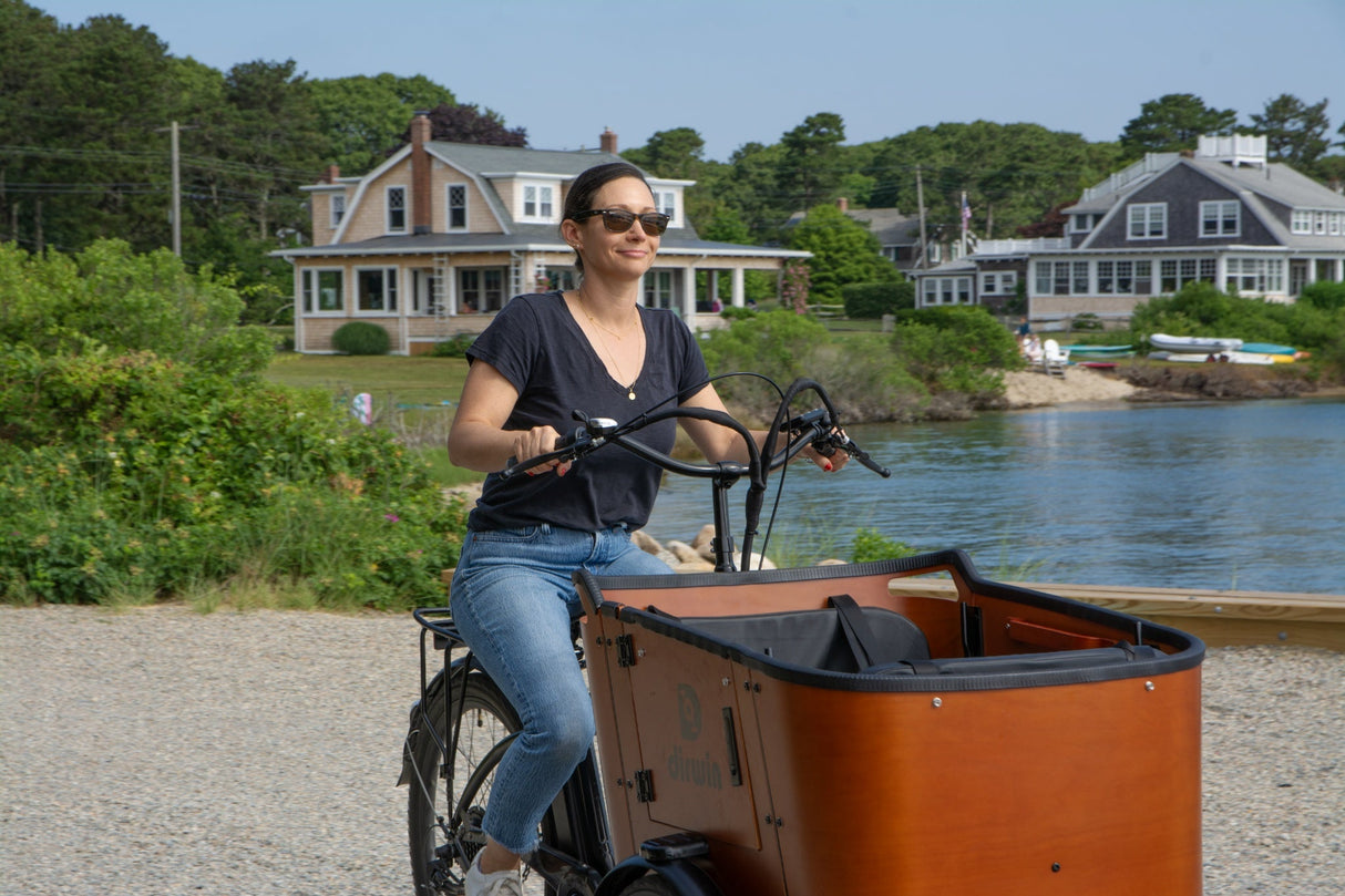 Caravan Electric Cargo Bike
