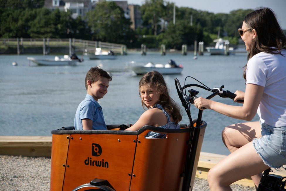 Caravan Electric Cargo Bike