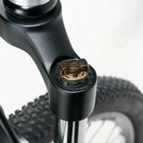 Darwin V 26-Inch Mountain Bike