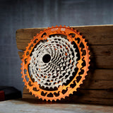 Helix Race 12-Speed 9-52T Cassette