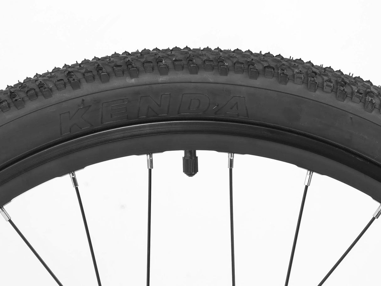 Darwin IV 24-Inch Kids Bike