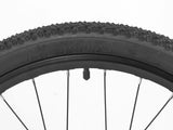Darwin IV 24-Inch Kids Bike